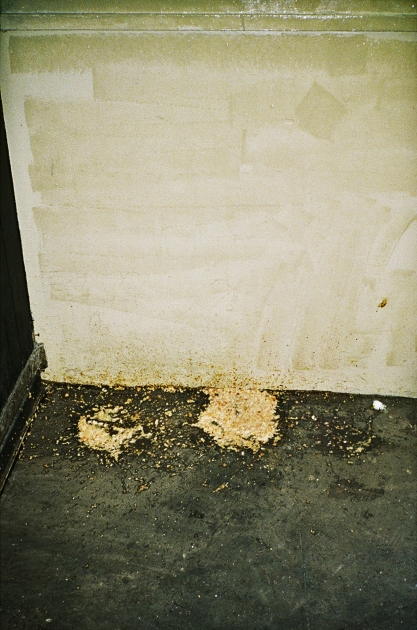 https://www.fwdk.info/files/gimgs/th-54_sick.jpg